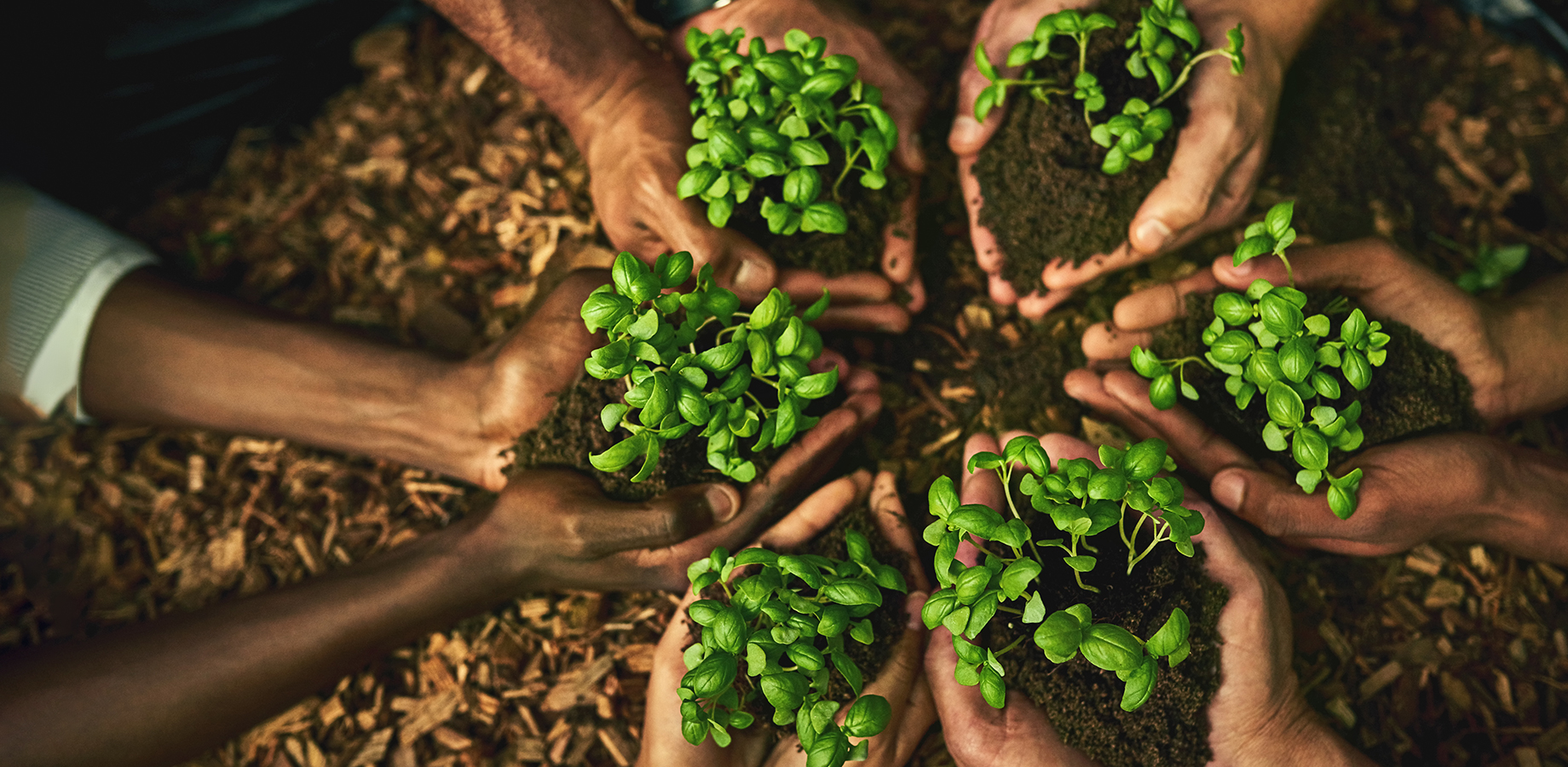 Save the Earth - E3 Impact